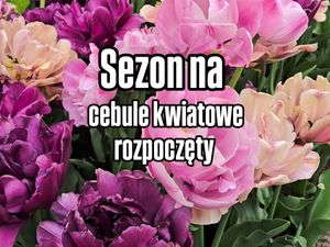 Image post by @marzenieogrodnika.pl on Instagram