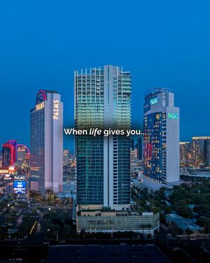 Image post by @palms on Instagram
