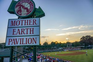 Image post by @gowoodducks on Instagram