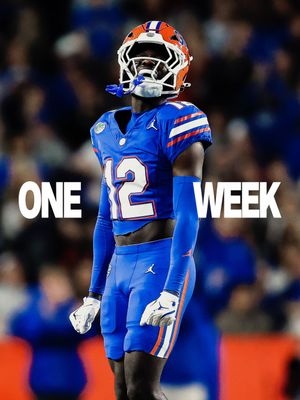 Image post by @gatorsfb on Instagram