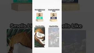 Video post by @drsquatch on YouTube