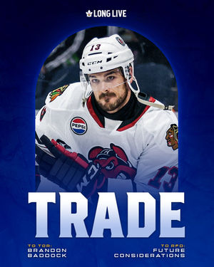 Image post by @torontomarlies on Instagram