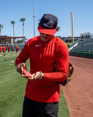 Image post by @smackinsunflowerseeds on Instagram