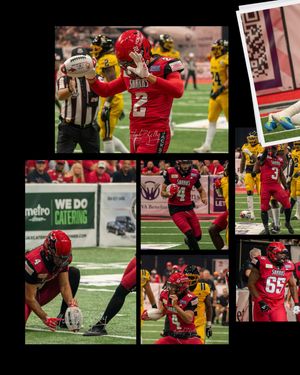 Image post by @jaxsharks on Instagram