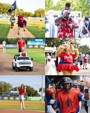 Image post by @chasriverdogs on Instagram