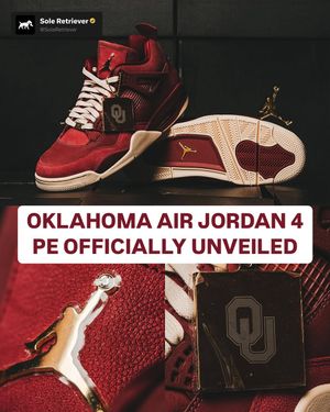 Image post by @soleretriever on Instagram