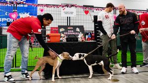 Image post by @Reds on Twitter