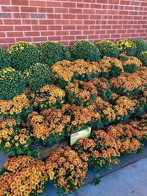 Image post by @starmarket on Facebook