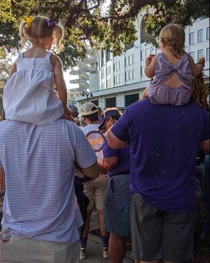 Image post by @lsu on Instagram