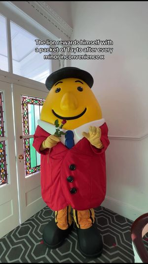 Video post by @mrtaytoireland on TikTok