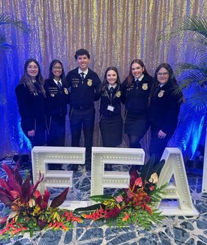 Image post by @nationalffa on Instagram