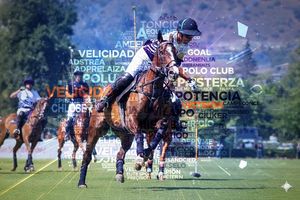 Image post by @polohubsocial on Instagram