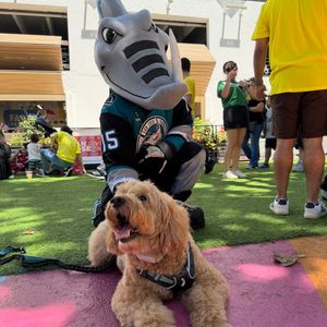 Image post by @sjbarracuda on Instagram