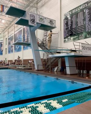 Image post by @tulaneswimdive on Instagram