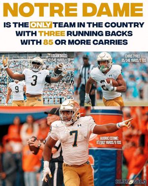 Image post by @blueandgoldillustrated on Instagram