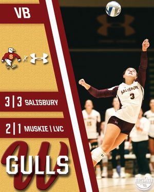 Image post by @suseagulls on Instagram
