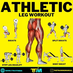Image post by @thetrainingmanual on Instagram