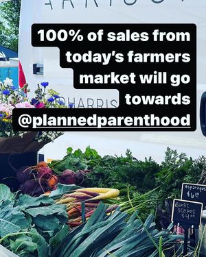 Image post by @hoveyandharrison on Instagram