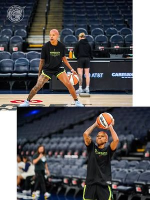 Image post by @minnesotalynx on Instagram