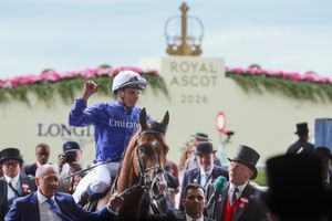 Image post by @godolphin on Instagram