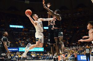 Image post by @JuliaMellett on Twitter