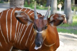 Image post by @zootampa on Instagram