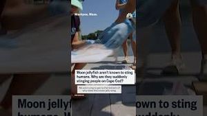 Video post by @nbcnews on YouTube