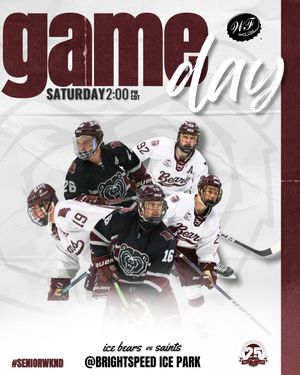 Image post by @d3mostateicebears on Instagram