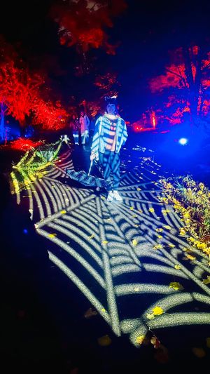 Image post by @alice_anarchy on Instagram