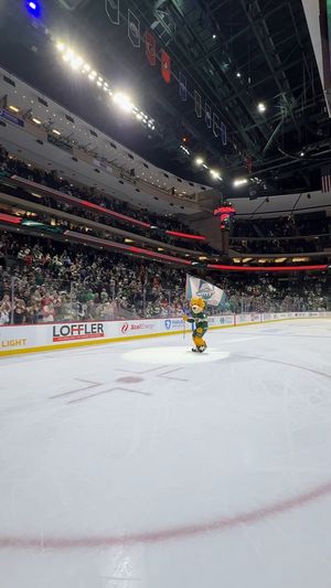 Video post by @NordyWild on Twitter