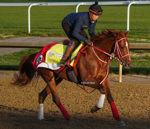 Image post by @fanduel_racing on Instagram