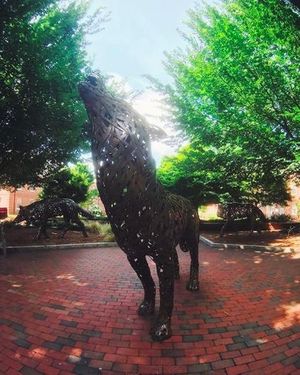 Image post by @ncstate on Instagram