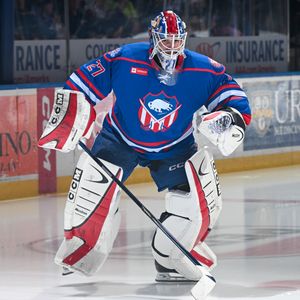 Image post by @goaliegearnerd on Instagram