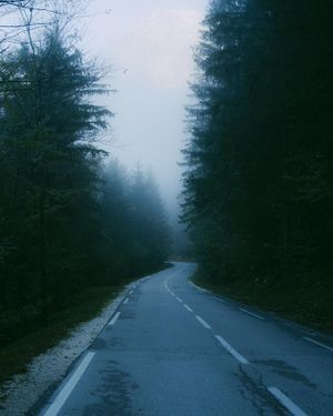 Image post by @shotbymaelle on Instagram