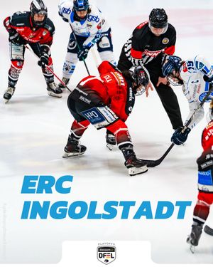 Image post by @dfel_official on Instagram