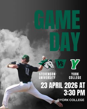 Image post by @stevensonbsb on Instagram