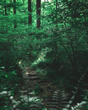 Image post by @jbyrne_photography on Instagram