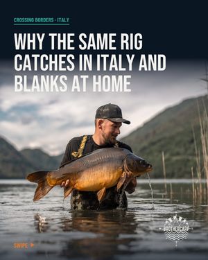 Image post by @brothercarp on Instagram