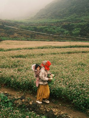Image post by @unsplash on Instagram