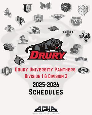 Image post by @websportsradio on Instagram