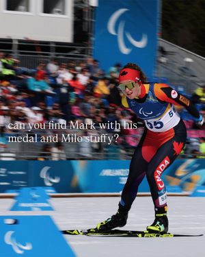 Image post by @cdnparalympics on Instagram