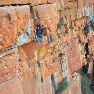 Image post by @sashadigiulian on Instagram