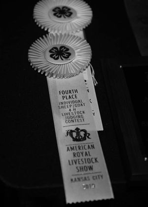Image post by @AmericanRoyalLivestock on Facebook
