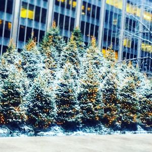 Image post by @nilnyc on Instagram