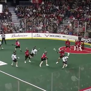 Image post by @nll on Instagram