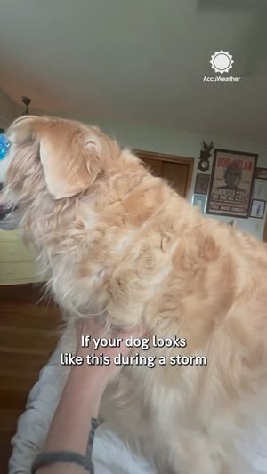 Video post by @accuweather on Twitter