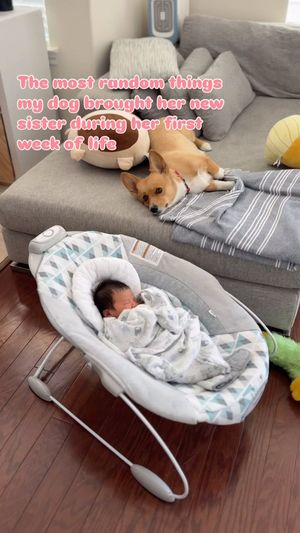 Image post by @aircorg on Instagram