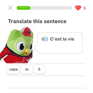 Image post by @Capitals on Twitter