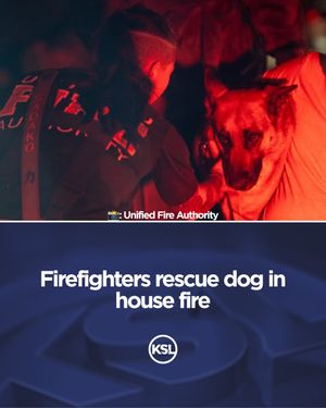 Image post by @kslnews on Instagram