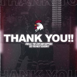 Image post by @cockhockey on Instagram